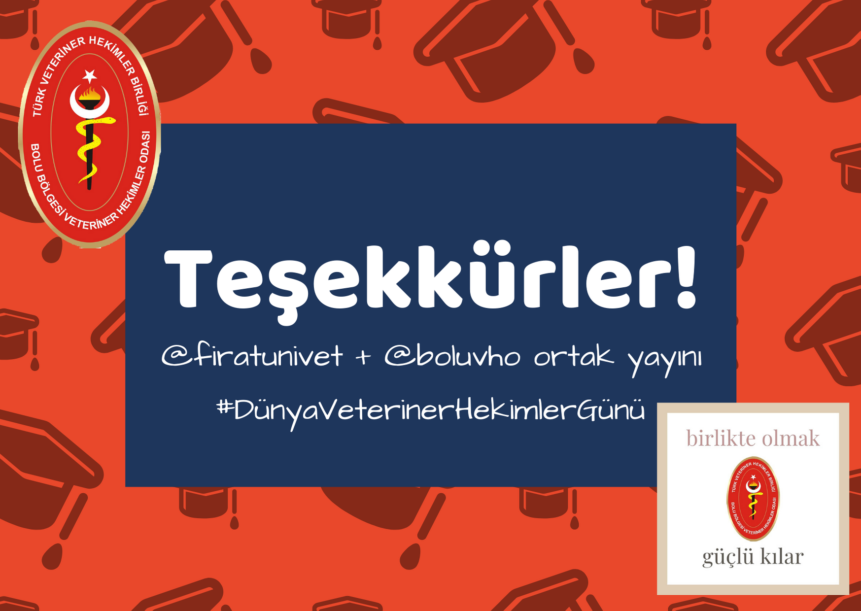 Kırmızı Mavi Mezuniyet Kepleri Mezuniyet Teşekkürler Kart