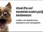 Lütfen Can Dostlarımızı Sokağa Terk Etmeyiniz!