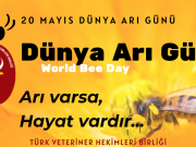 Arı varsa, hayat vardır…